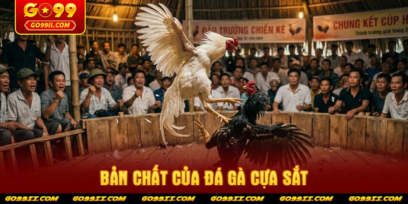 Bản chất của đá gà cựa sắt