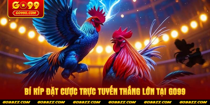 Bí kíp đặt cược trực tuyến thắng lớn tại GO99