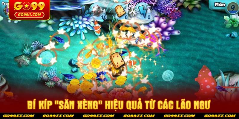 Bí kíp "săn xèng" hiệu quả từ các lão ngư
