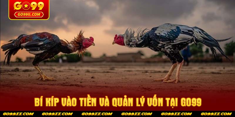 Bí kíp vào tiền và quản lý vốn tại GO99