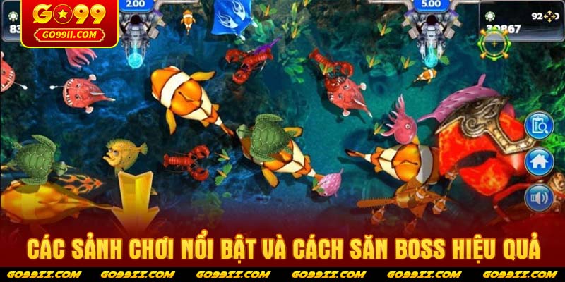 Các sảnh chơi nổi bật và cách săn Boss hiệu quả