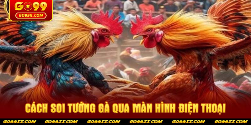 Cách soi tướng gà qua màn hình điện thoại