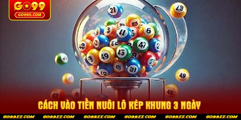 Cách vào tiền nuôi lô kép khung 3 ngày