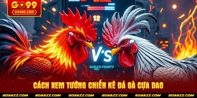 Cách xem tướng chiến kê đá gà cựa dao