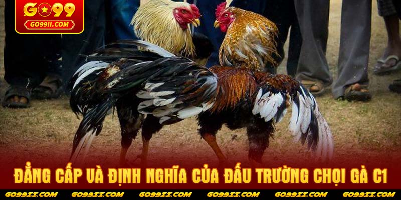 Đẳng cấp và định nghĩa của đấu trường chọi gà C1
