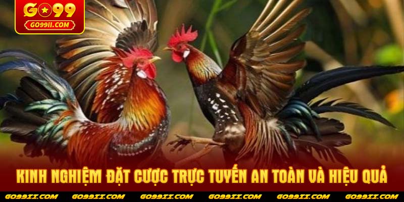 Kinh nghiệm đặt cược trực tuyến an toàn và hiệu quả