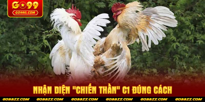 Nhận diện "Chiến thần" C1 đúng cách