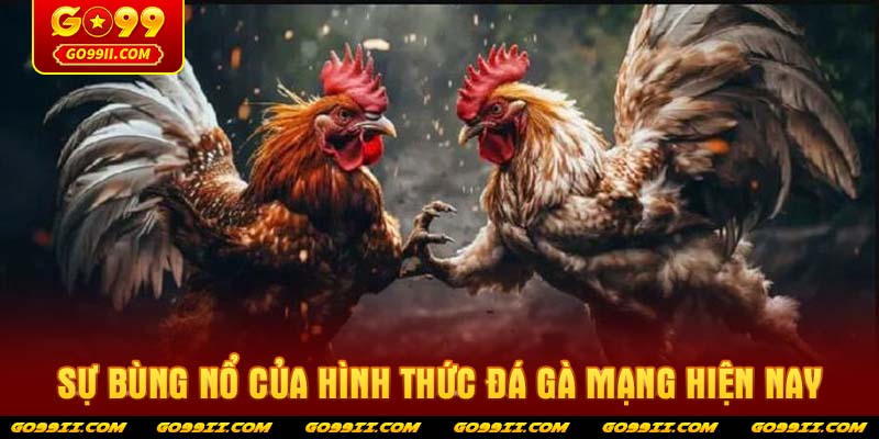 Sự bùng nổ của hình thức đá gà mạng hiện nay