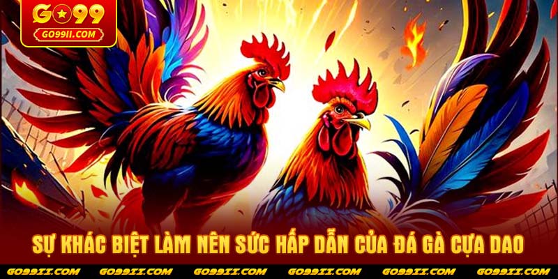 Sự khác biệt làm nên sức hấp dẫn của đá gà cựa dao